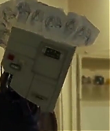 343.jpg