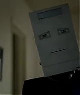 442.jpg