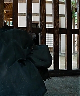 1183.jpg