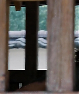 1194.jpg