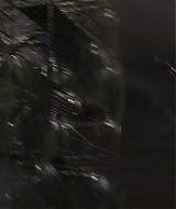 383.jpg