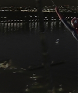 384.jpg