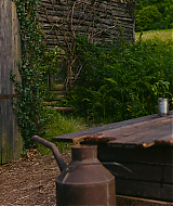 490.jpg